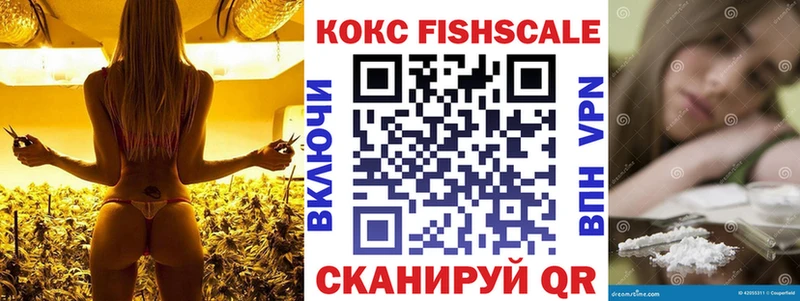 даркнет телеграм  Черепаново  Кокаин 97% 