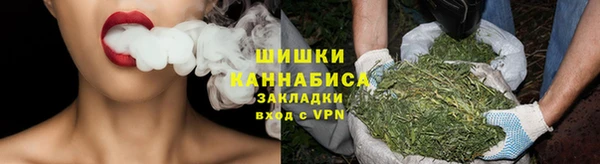 не бодяженный Заводоуковск