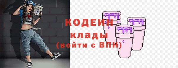 не бодяженный Заводоуковск