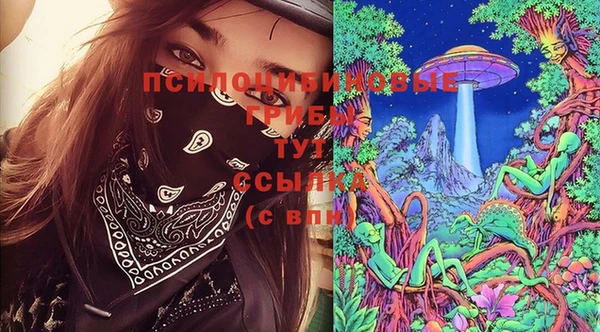не бодяженный Заводоуковск
