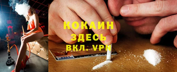 не бодяженный Заводоуковск